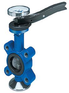 ARI-GESA Absp.Klappe GGG Scheibe 1.4581 Mansch.EPDM PN16 DN100 m.Rasterh.Anfl.