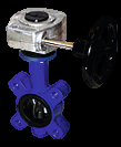 Ari Gesa Anflanschabsperrklappe DN125 PN10-16 EN-JS1030 1.4581 EPDM Getriebe