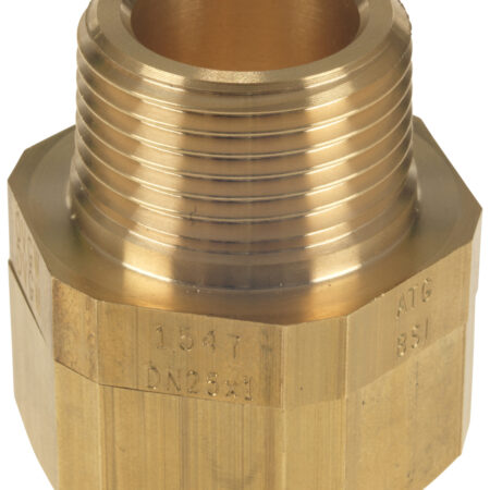 BBA GAZ PLT End-Fitting mit Außengewinde, DN25 (1") x R 5/4"/EN 10226-1"