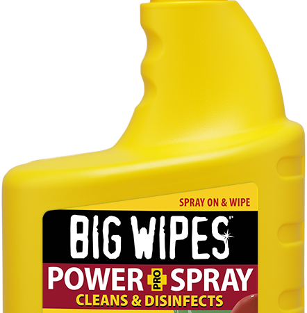 BIG WIPES Power Spray 1 Liter, antiviral, antibakteriell