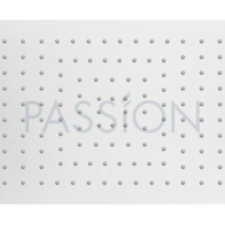 Regenwerk Passion Kopfbrause Edelstahl, Softedge, 400 x 250 mm