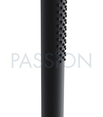 Regenwerk Passion Stabhandbrause Messing mit Antikalknoppen,schwarz