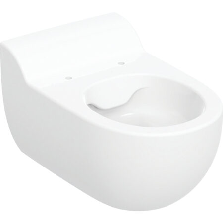 Geberit Bambini Wand-WC für Kinder, Tiefspüler, Rimfree, für WC-Sitz: T=53cm, weiß