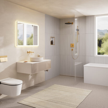 hansgrohe AddStoris Q Toilettenpapierhalter mit Ablage, Chrom