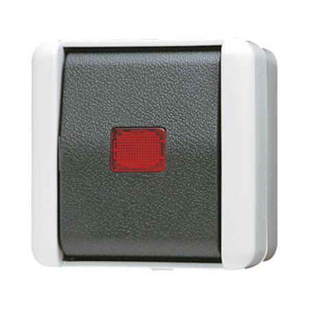Wipp-Kontrollschalter, Universal Aus-Wec hsel, 10 AX 250 V ~, IP 44, WG 800