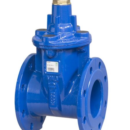 VAG BETA300 Absperrschieber GR14 o.Hr. DN65 PN16  GGG-40/EPDM Epoxi